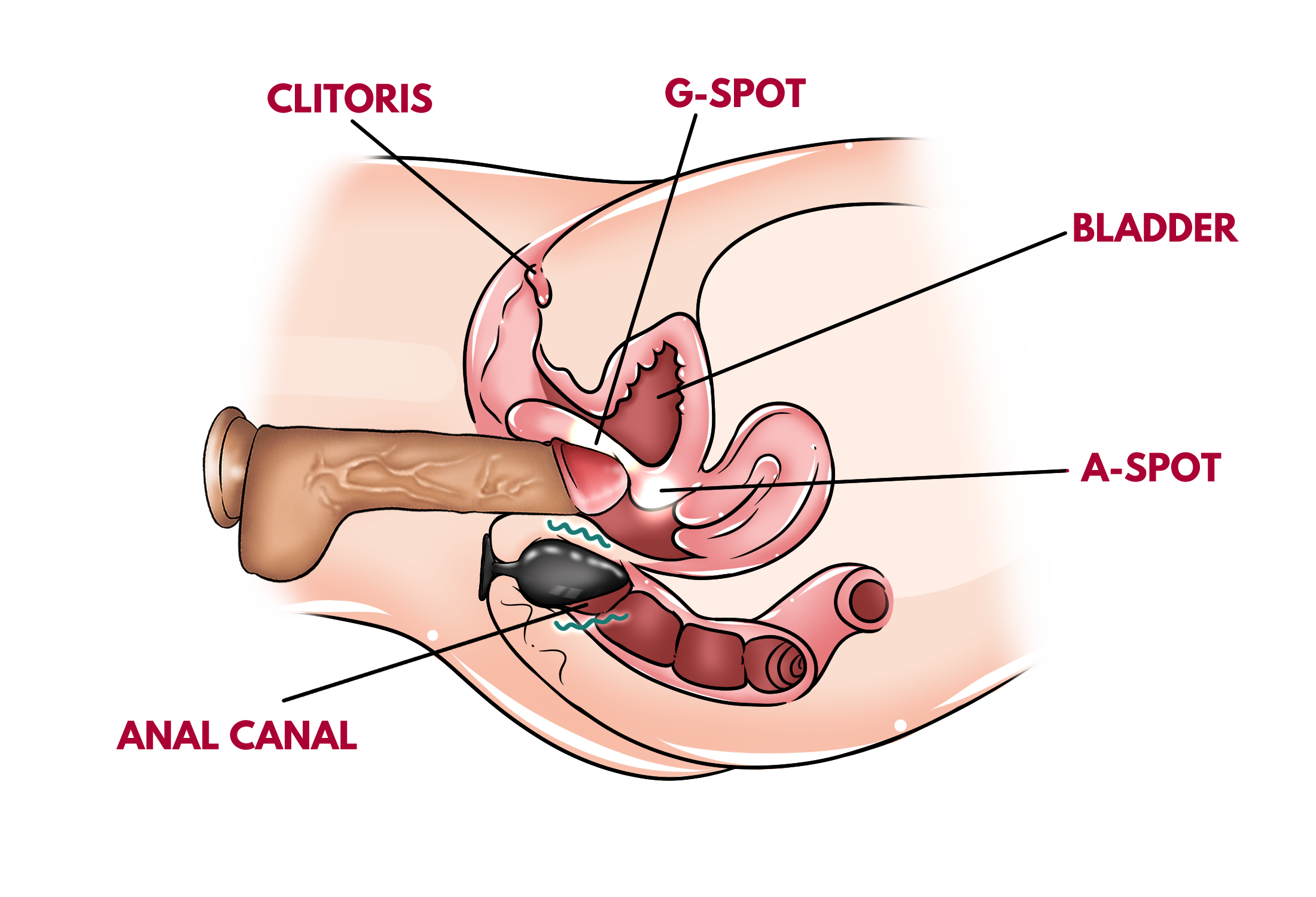 Move #4 – Anal Plug + Dildo On The G-Spot