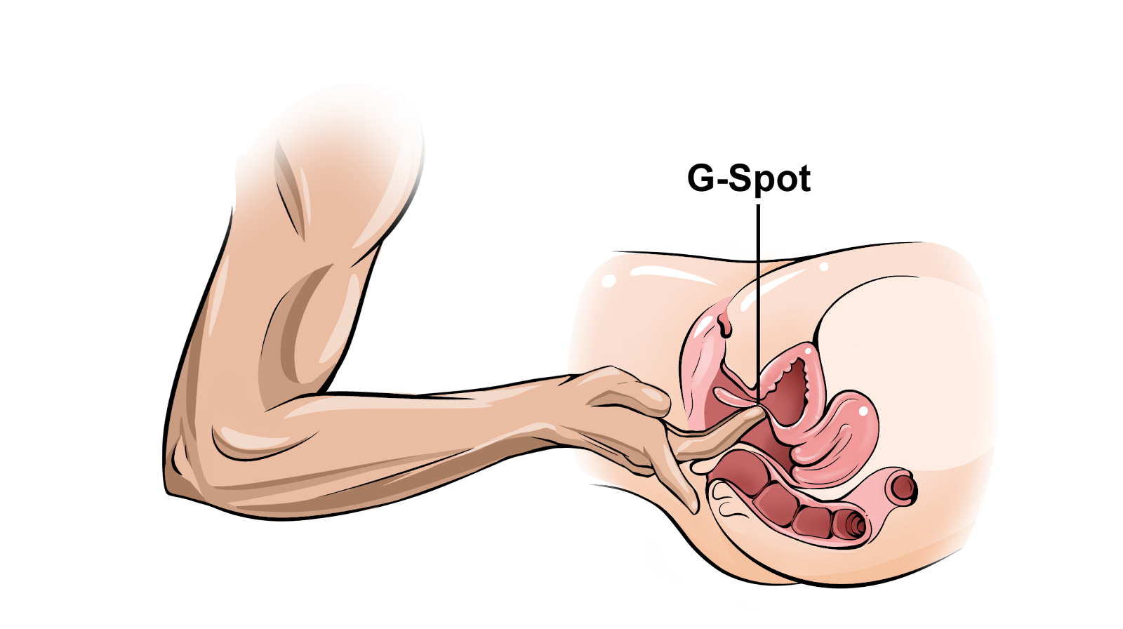 Step #7 – Deepen Sensation With The Spiderman Move