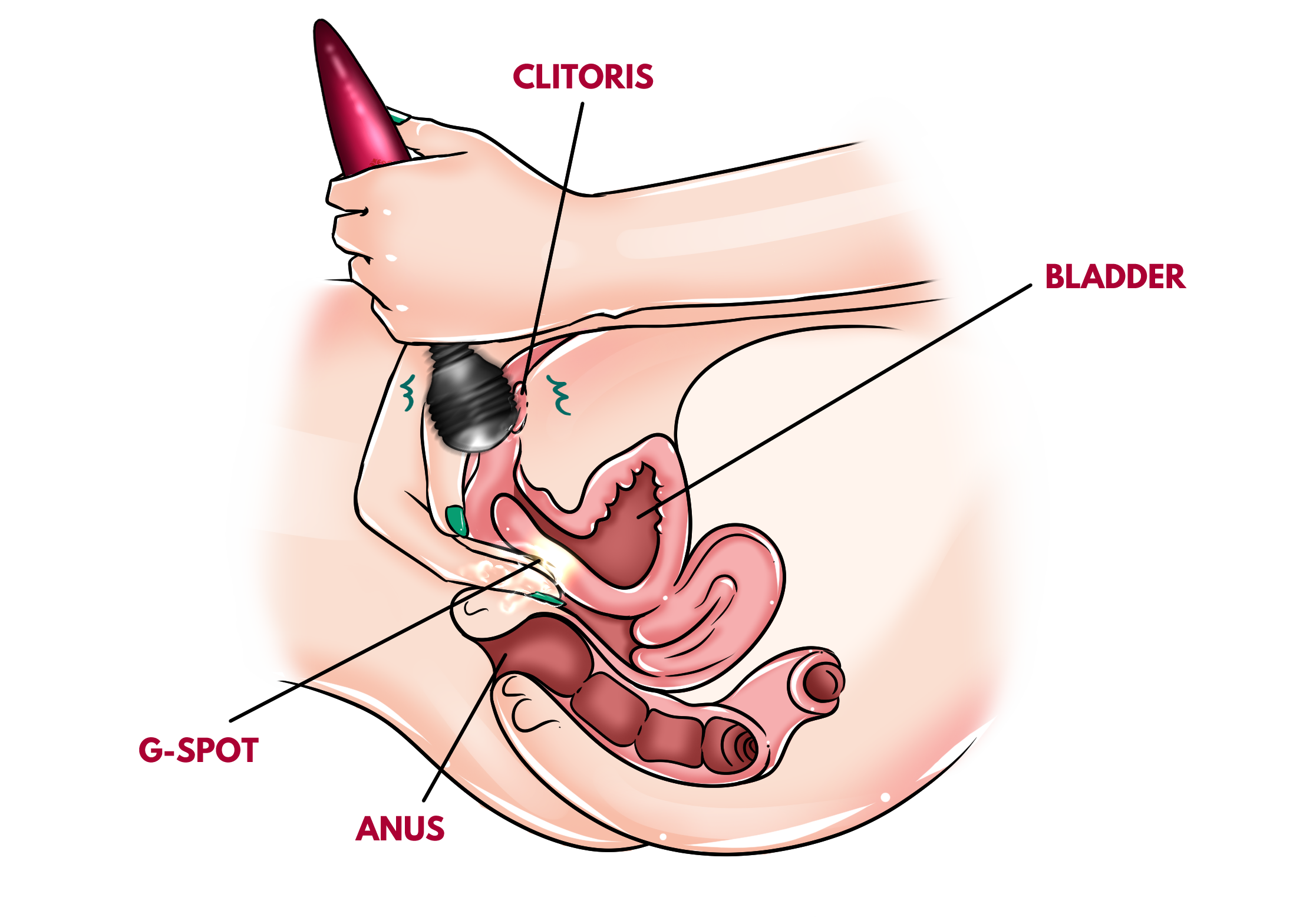 Toy #2 – Wand Vibrator