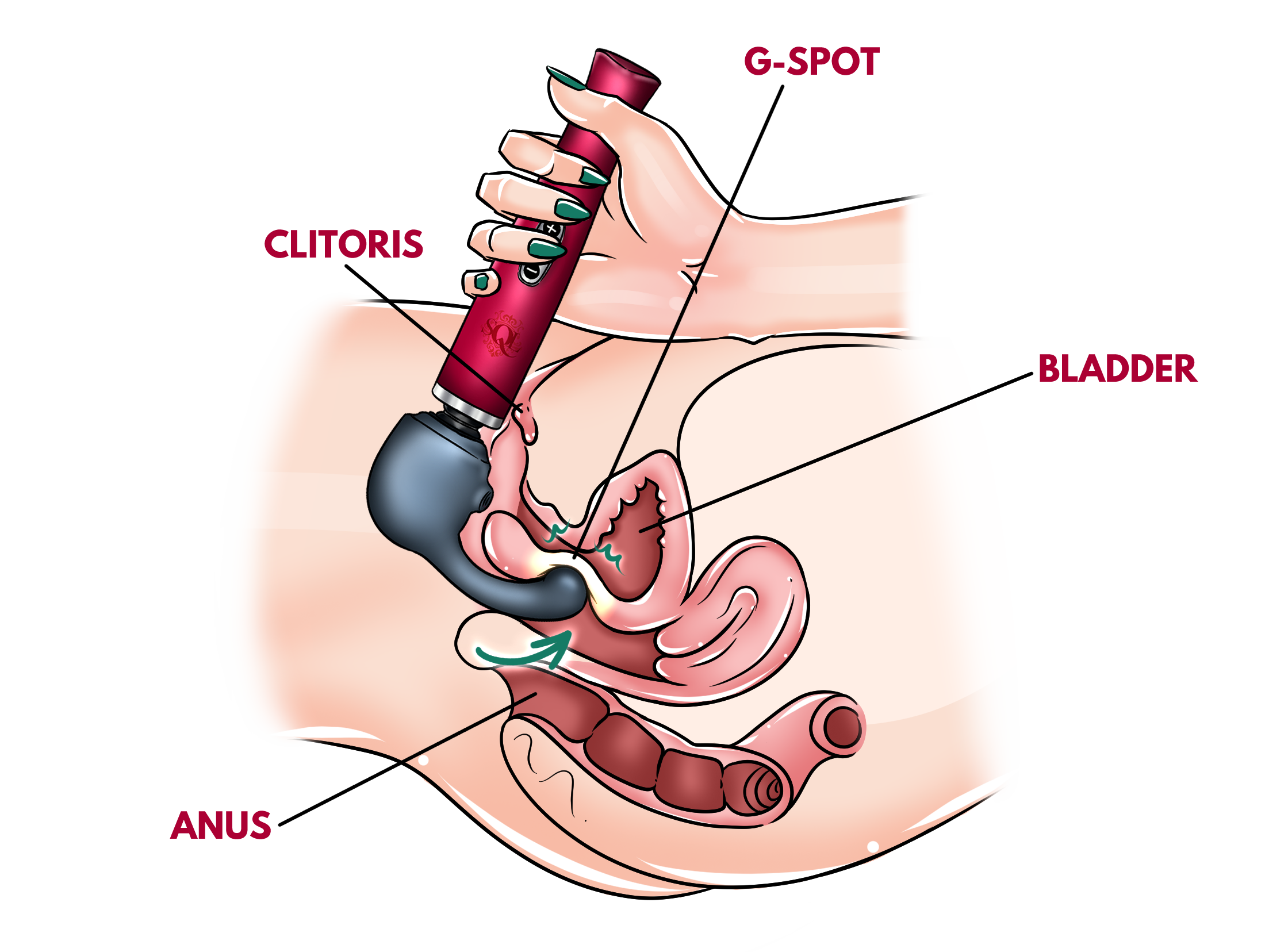 Toy #4 – Weighted Wand Vibrator