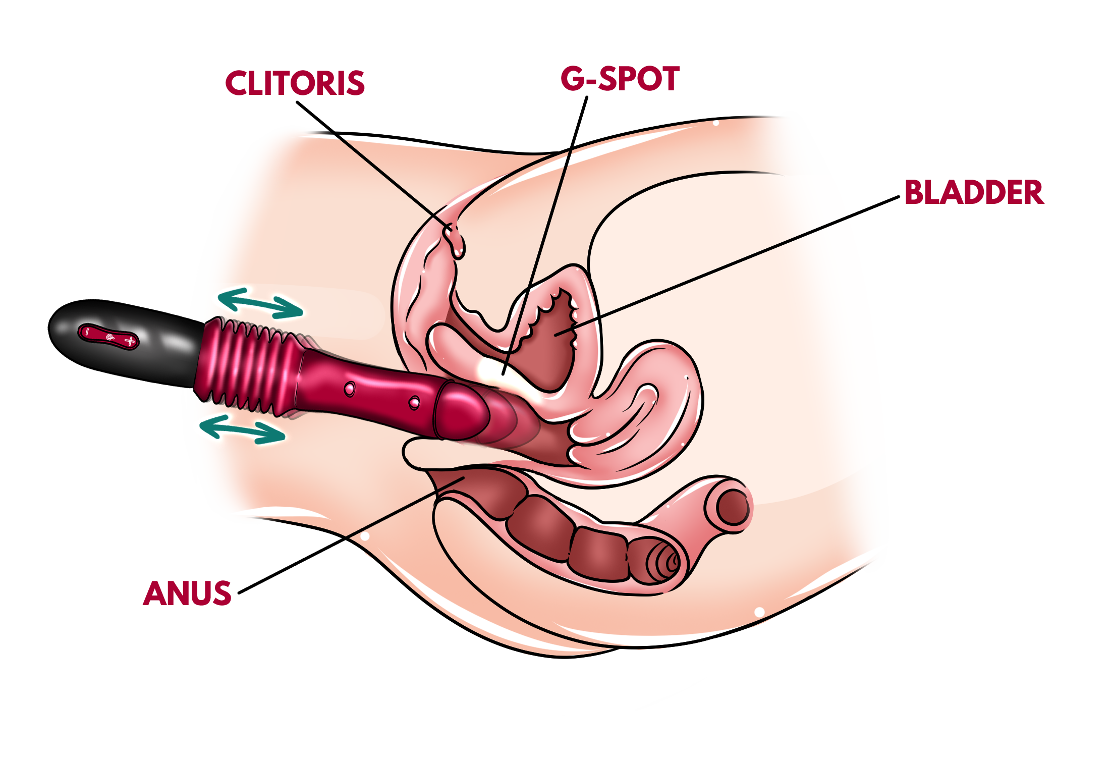 Toy #5 – Thrusting G-Spot Toy